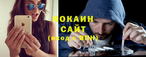 винт Горняк