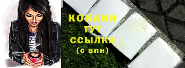 винт Горняк