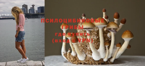 2c-b Горнозаводск