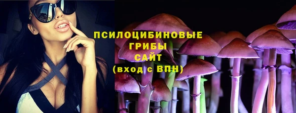 винт Горняк