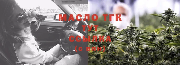 2c-b Горнозаводск