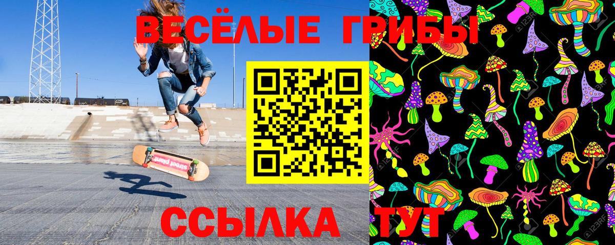 Муром  Псилоцибиновые грибы прущие грибы  Вход с VPN 