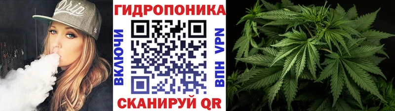 Конопля VHQ Муром